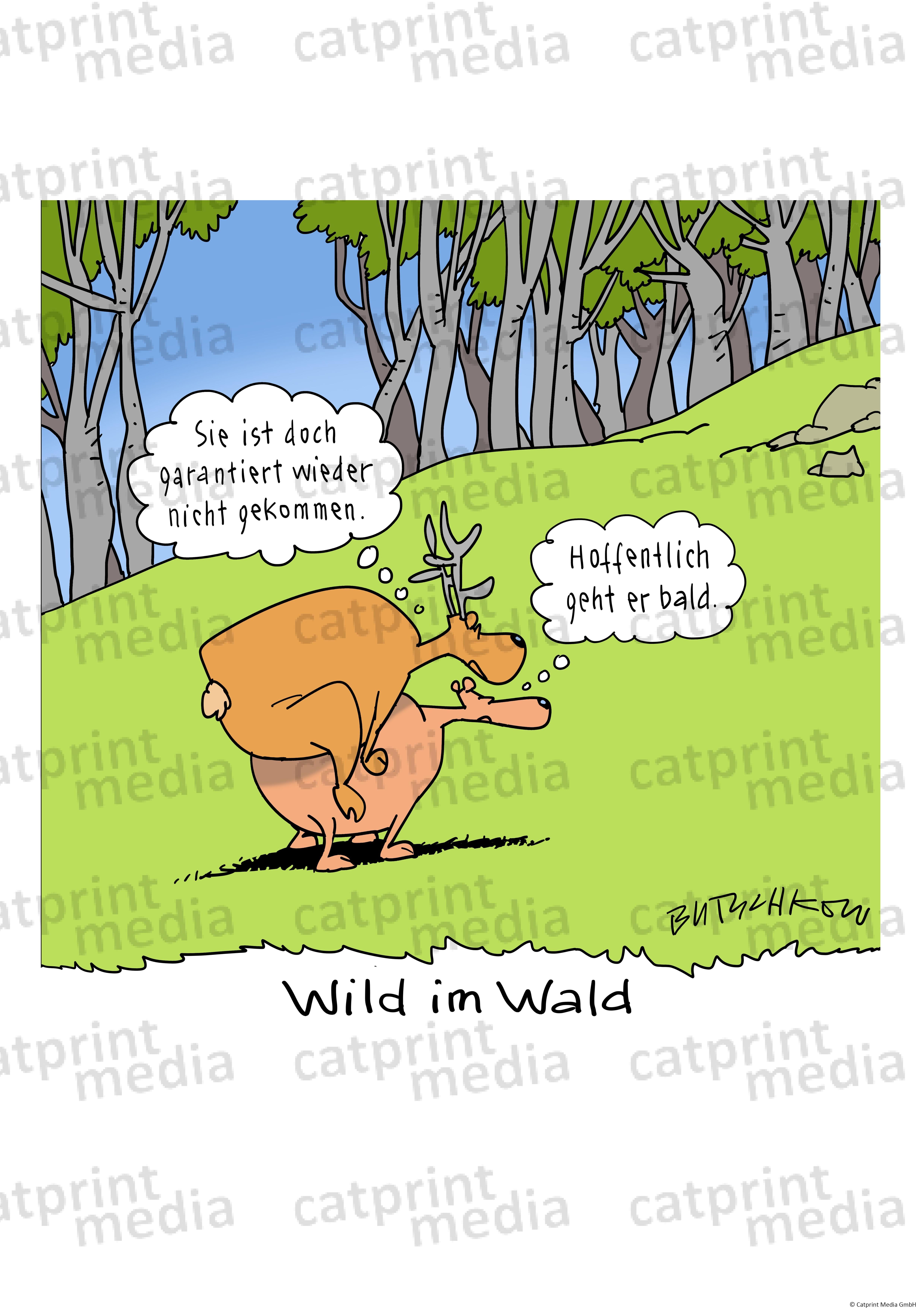 wil-im-wald-hirsch-sex-Kopie-3 - Catprint Media GmbH